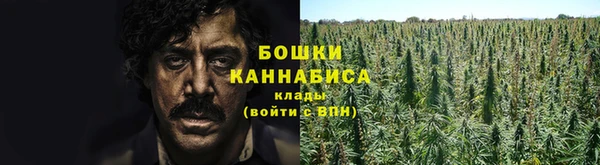 не бодяженный Аркадак