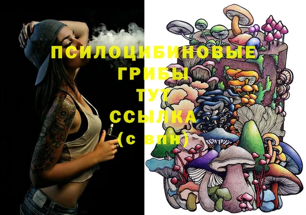 таблы Армянск
