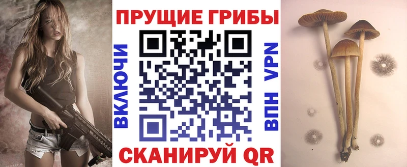 Галлюциногенные грибы мицелий  Палласовка 